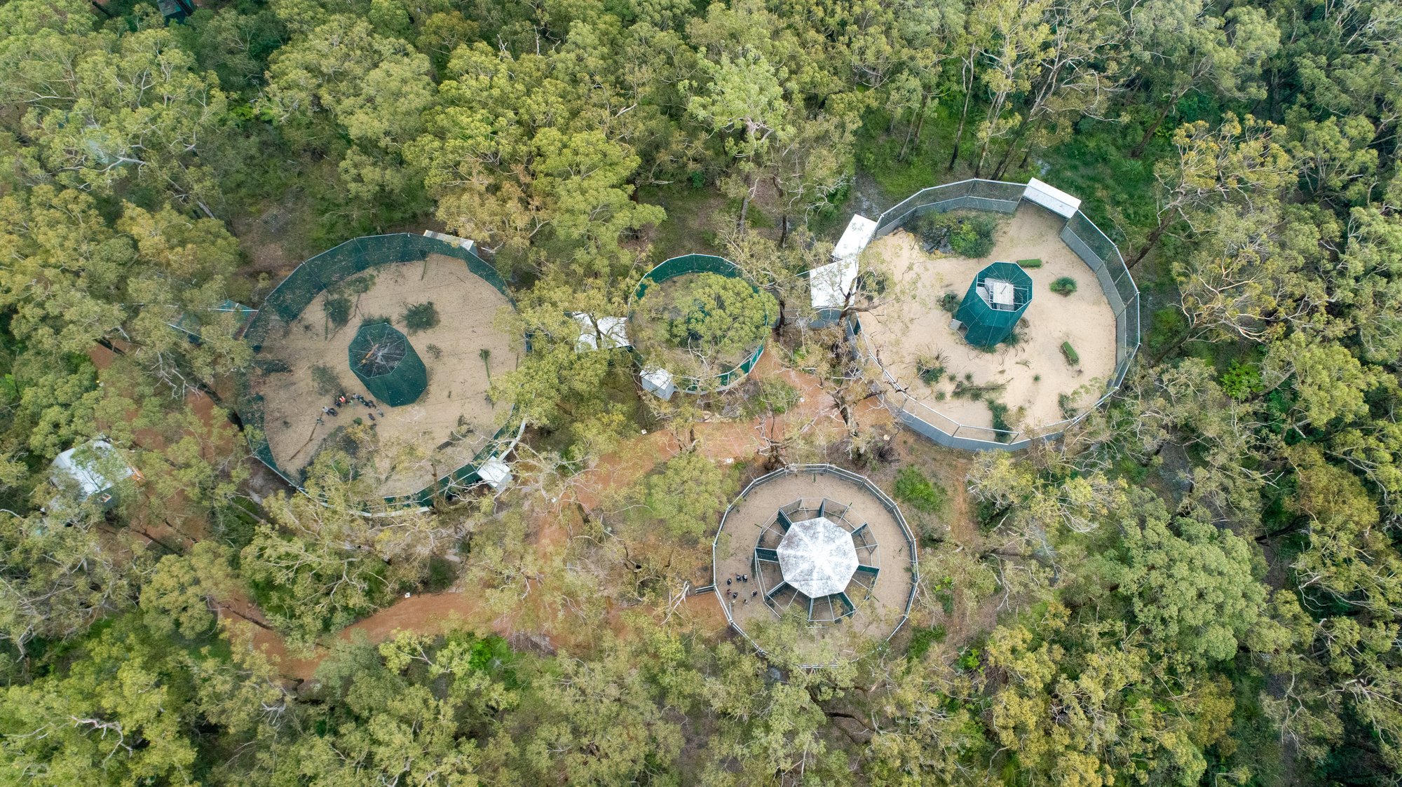 Aerial shot all aviaries Aerial shot all aviaries