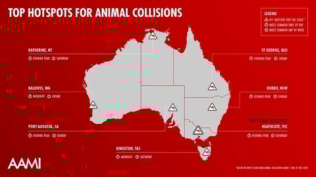 aami-animal-collisions-roo-logo1685332614566-1685332615537
