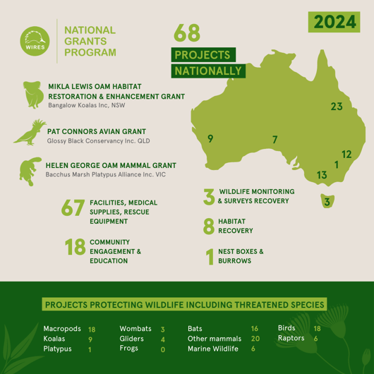 NGP Infographic-1