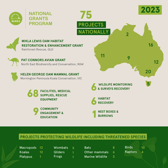 NGP Infographic
